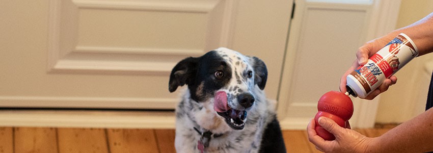 Dog Toy Accessories