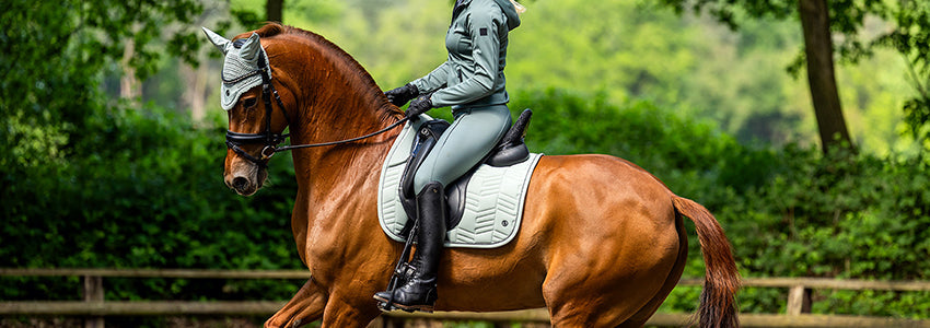 BR Equestrian Equipment