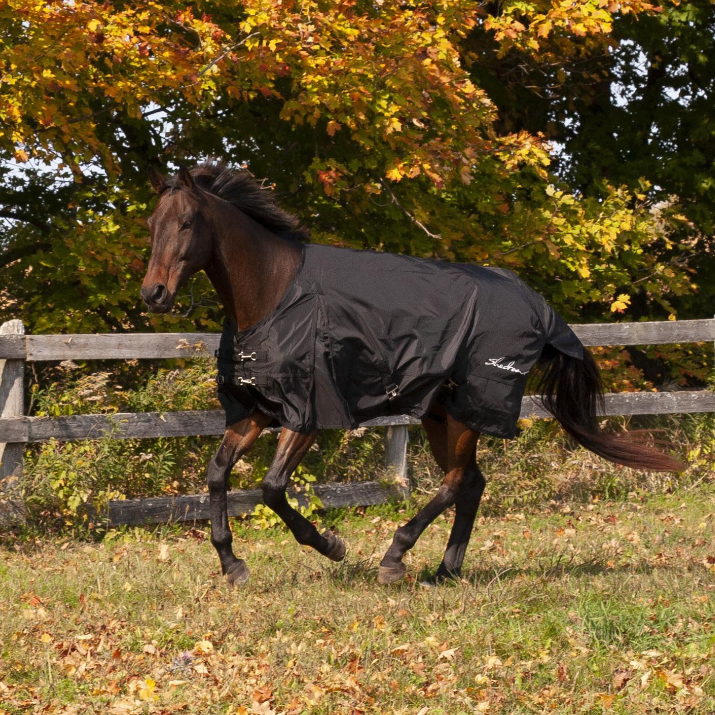 Shedrow Rainsheet 0 g