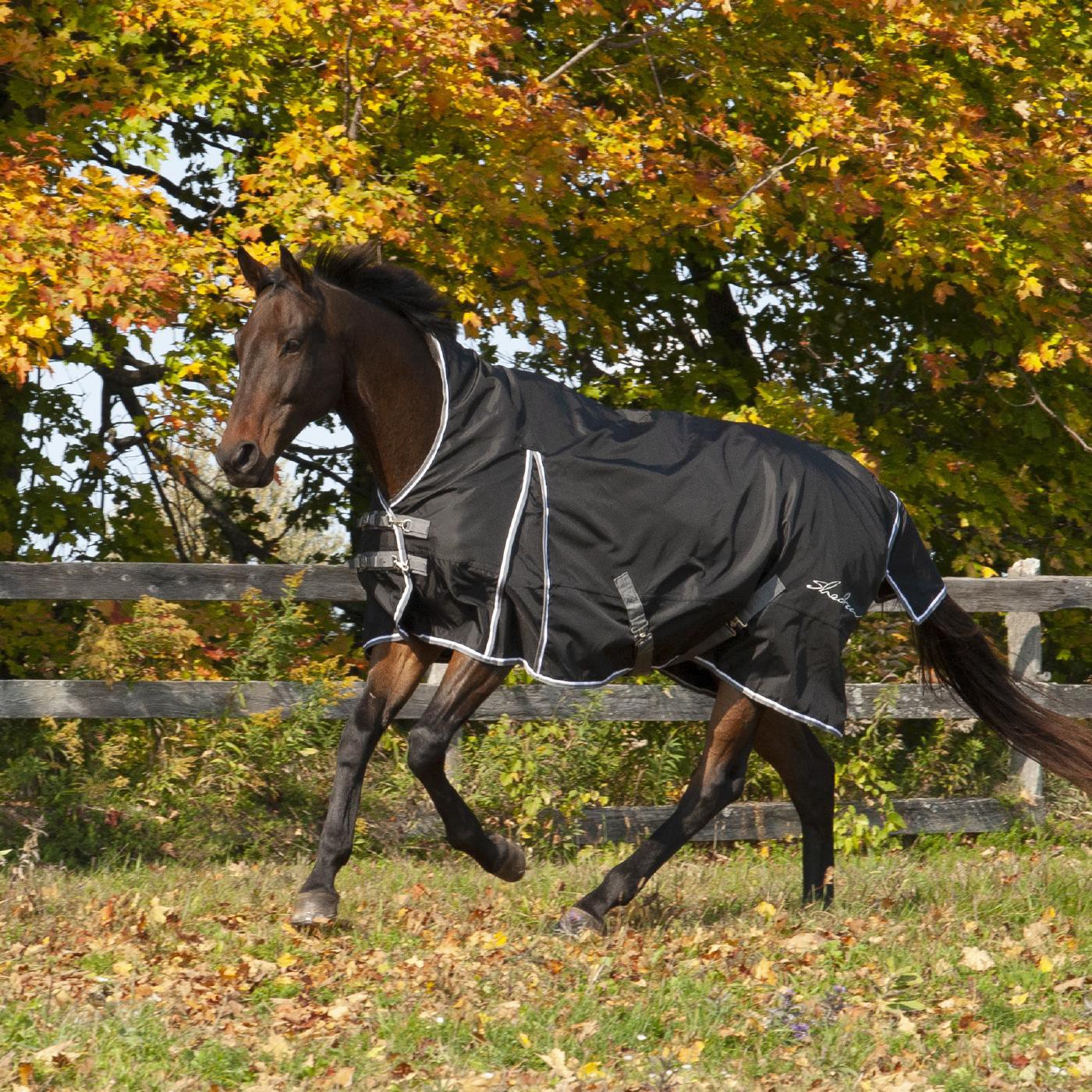 Shedrow Comfort Neck Rainsheet 0 g