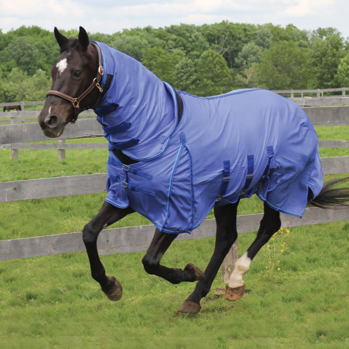 Shedrow Extend-A-Neck Fly Sheet