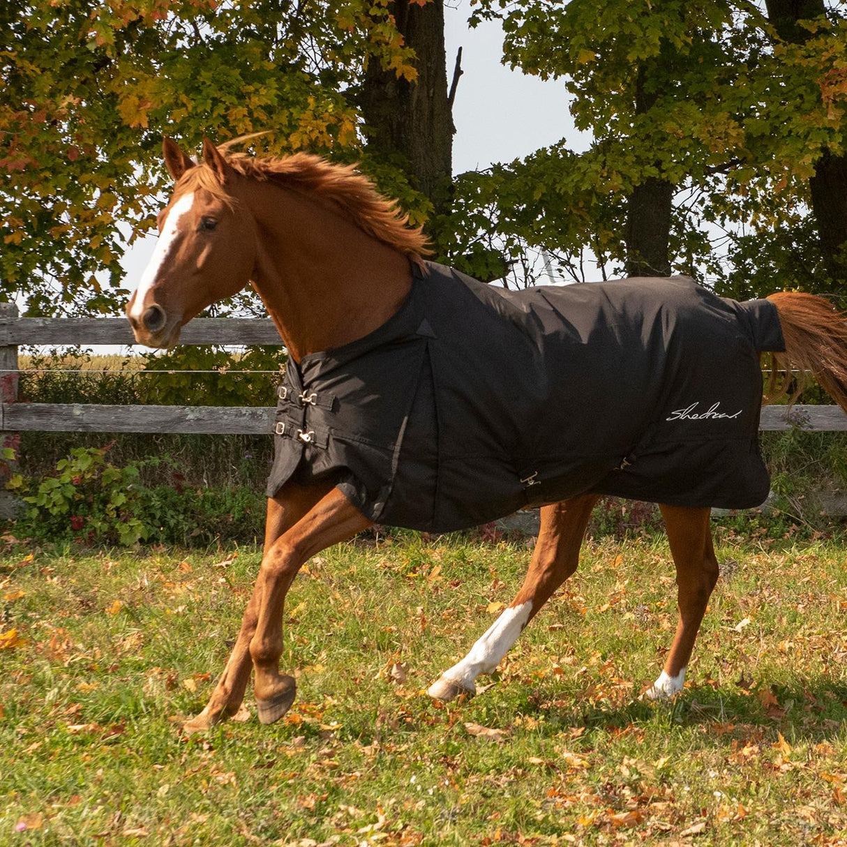 Shedrow Insulated Rainsheet