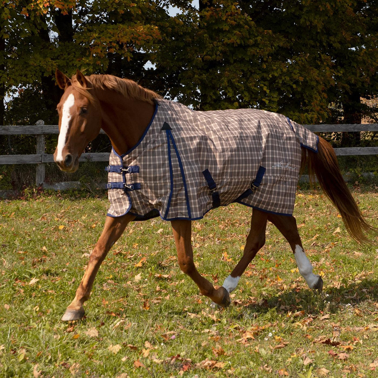 Shedrow Traditional Plaid Insulated Rainsheet