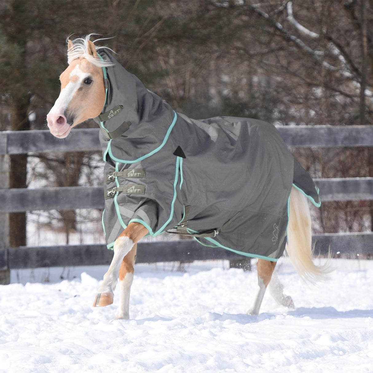 Swift Pony Turnout Blanket 150 g