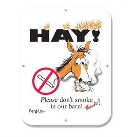 Fergus No Smoking Barn Sign