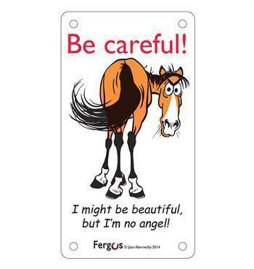 Fergus No Angel Stall Sign