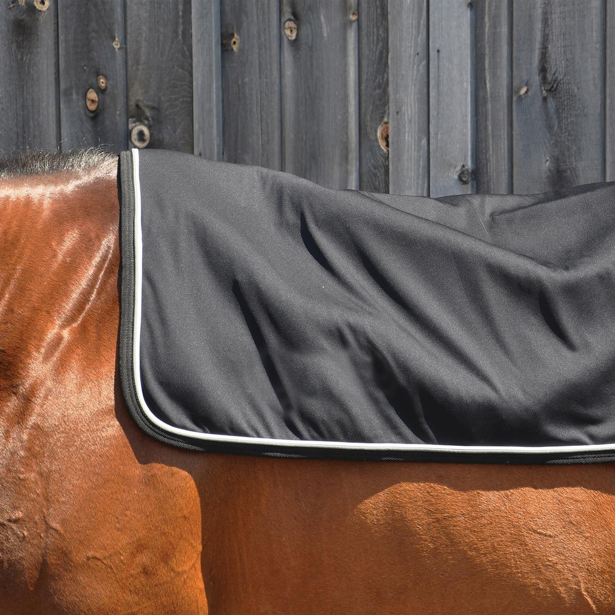 Thermal Therapy Back Warmer