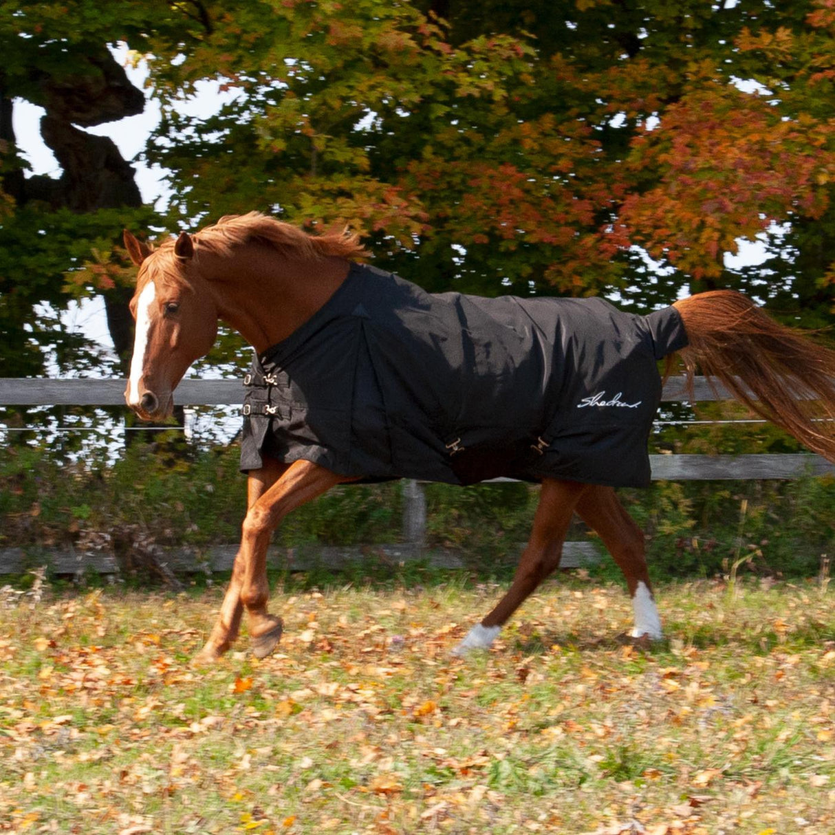 Shedrow Insulated Rainsheet