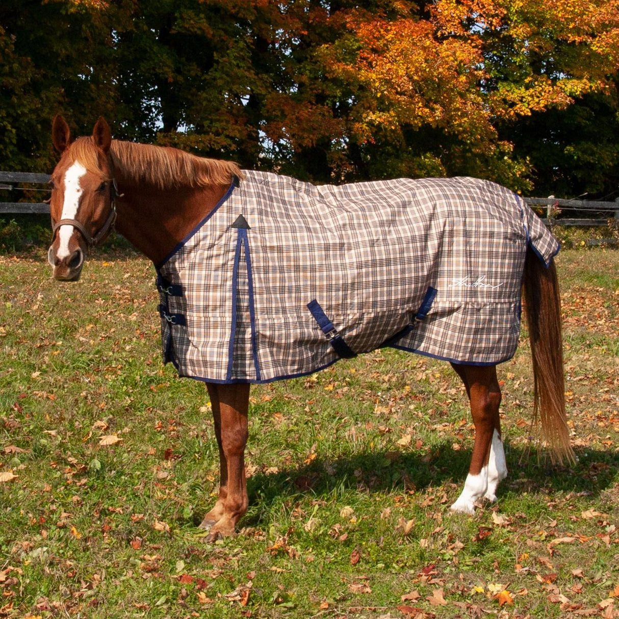 Shedrow Traditional Plaid Insulated Rainsheet