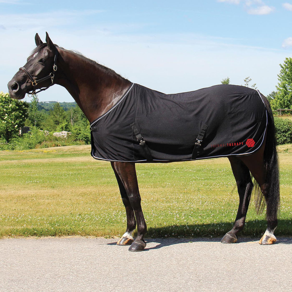 Thermal Therapy Mesh Sheet