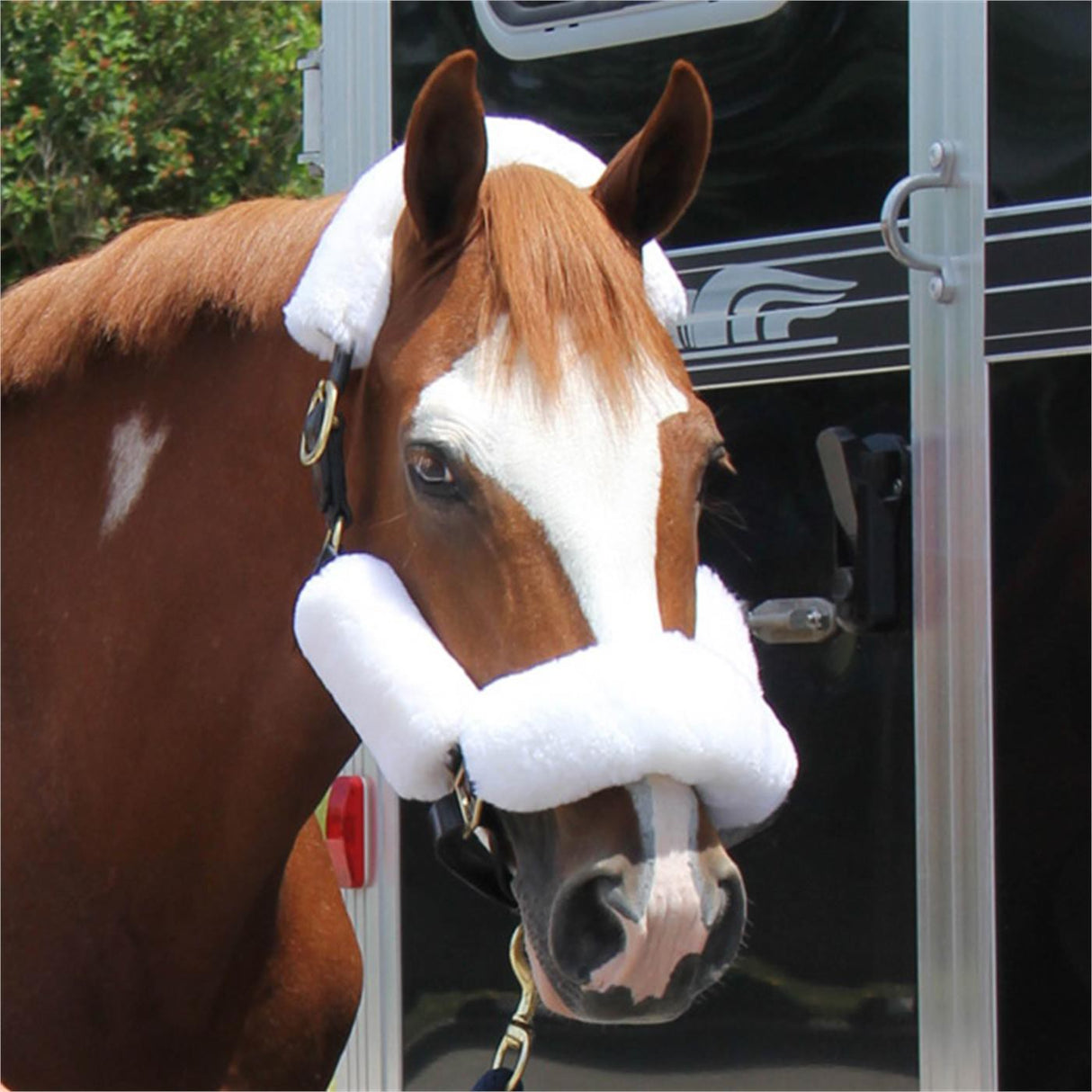 Shedrow Sheepskin Halter Set