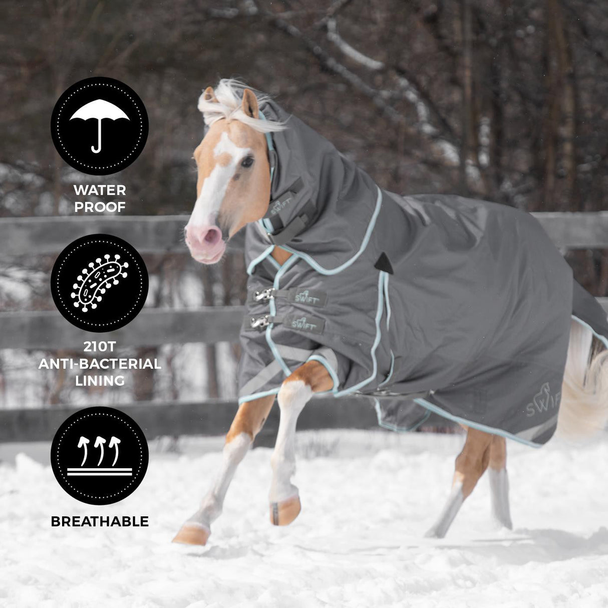 Swift Pony Turnout Blanket 150 g