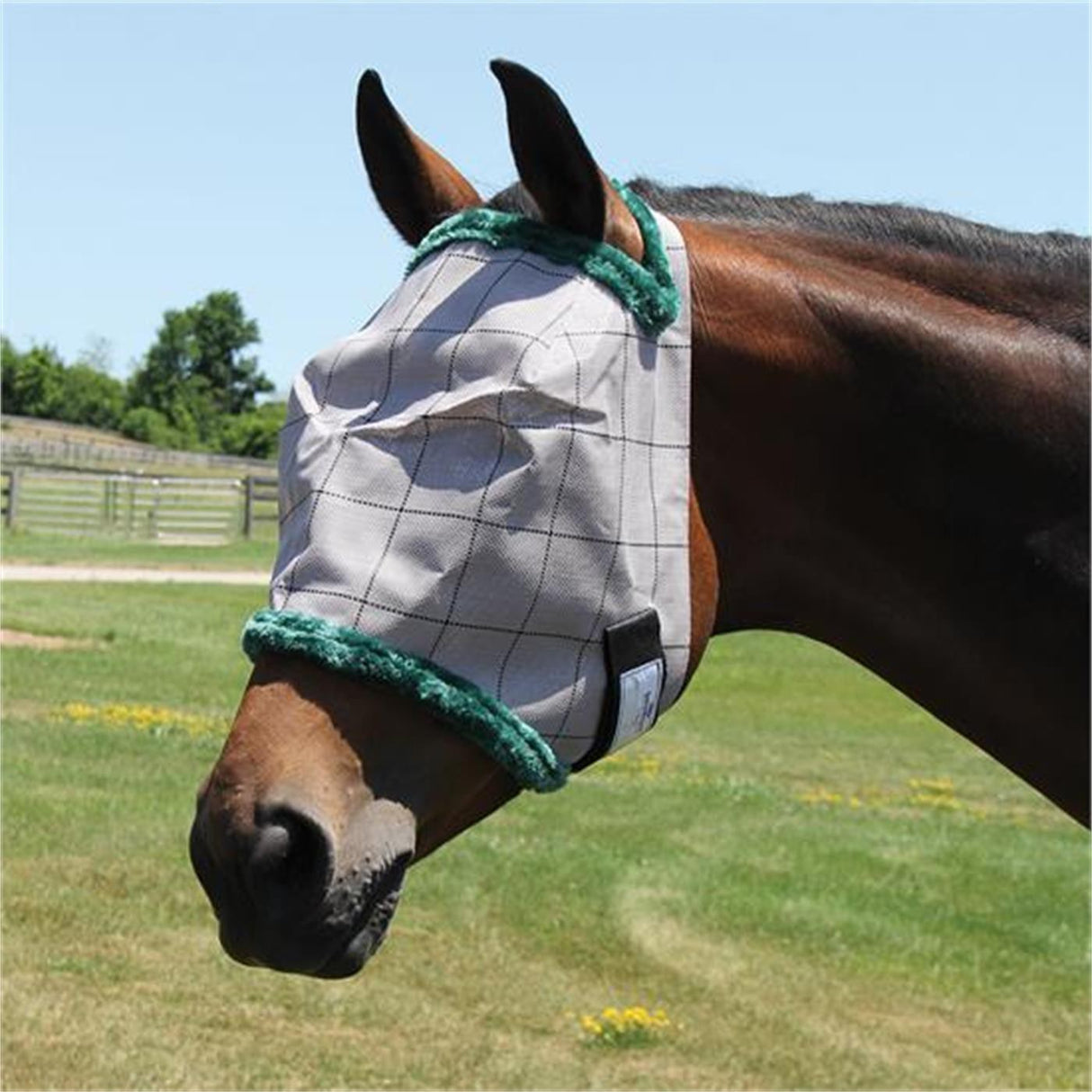 Farnam Supermask - No Ears