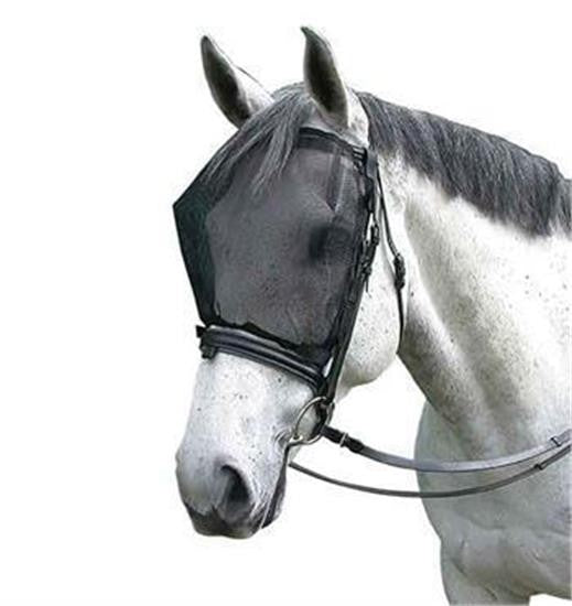 Cavallo Ride Fly-Free Mask