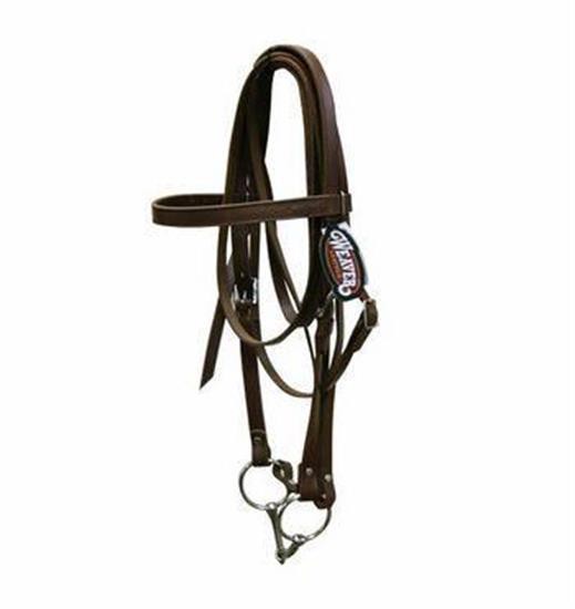 Weaver Draft Riding Bridle