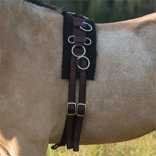 Shedrow Nylon Mini Surcingle