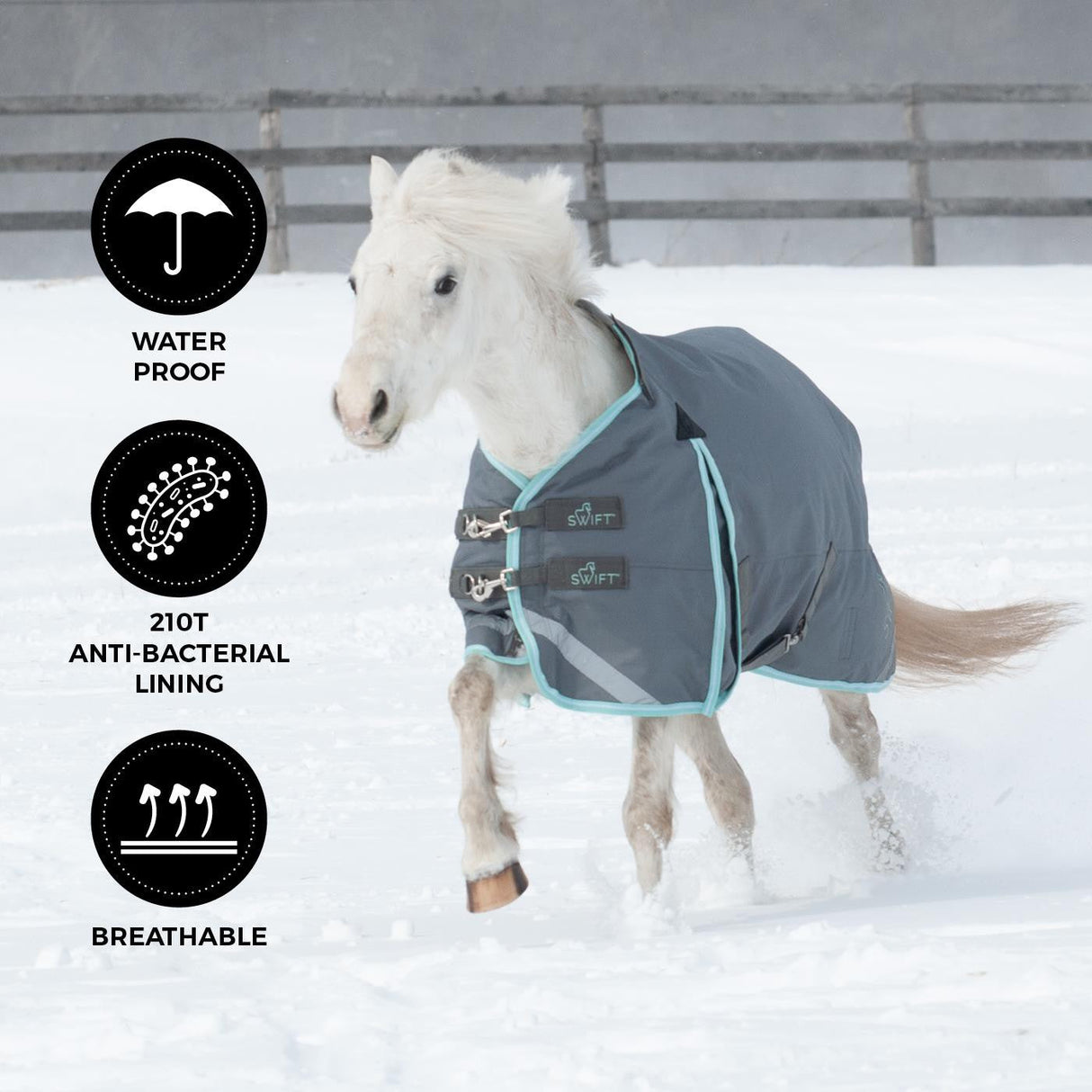 Swift Pony Turnout Blanket 300 g