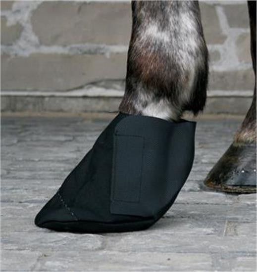 Shedrow Poultice Boots