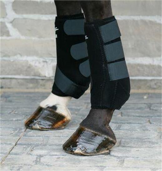 Professional's Choice SMBII 100 Boots