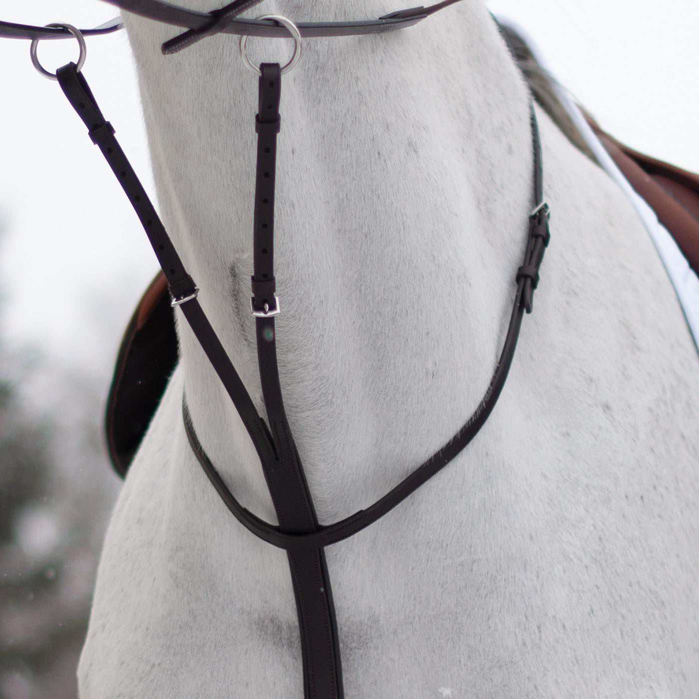 Mondega Running Martingale