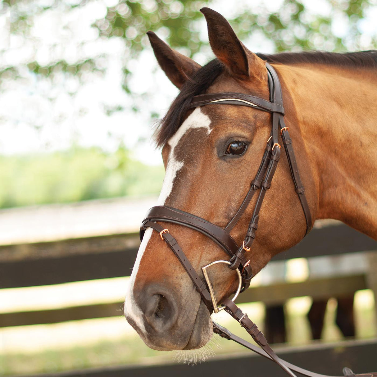 Mondega Natasha Rose Gold Sparkle Bridle