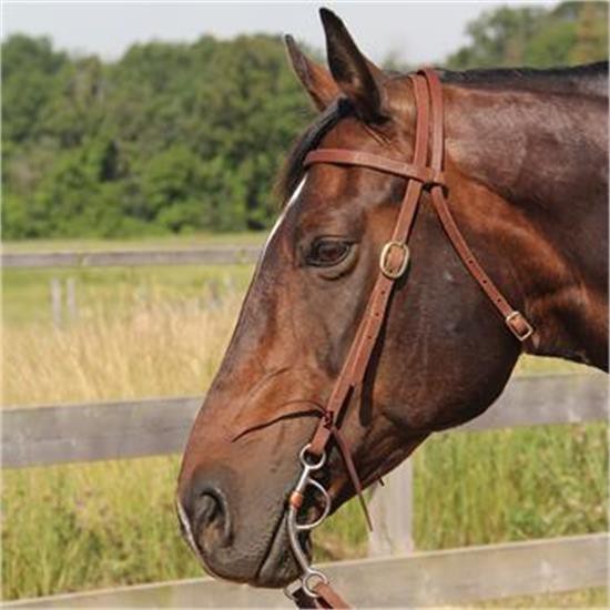 Copper Canyon Harness Leather Browband Headstall W/ Ties