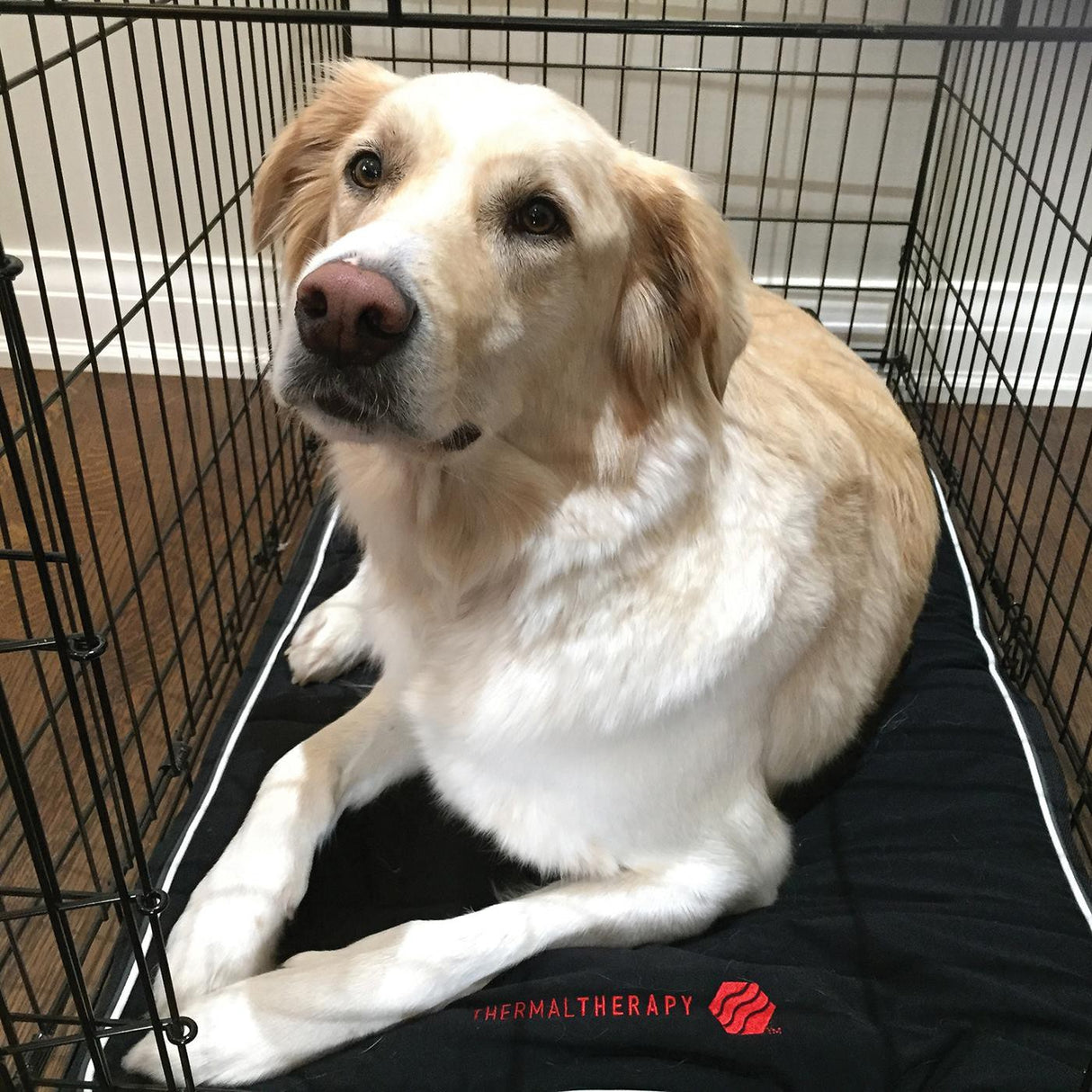 Thermal Therapy Extra Large Crate Mat