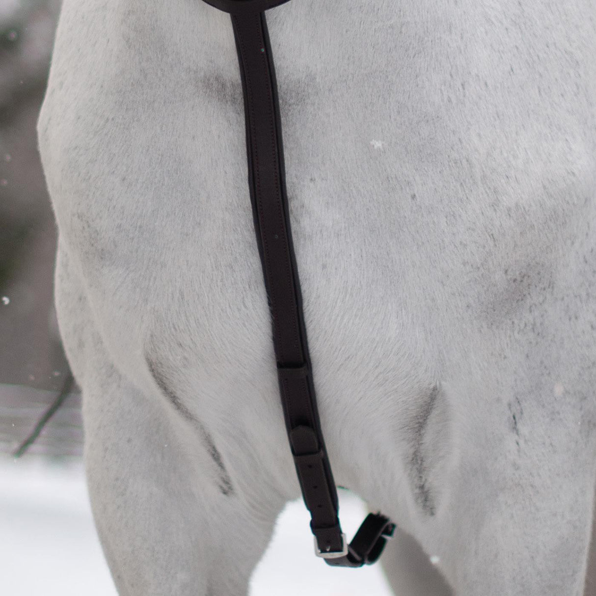 Mondega Running Martingale