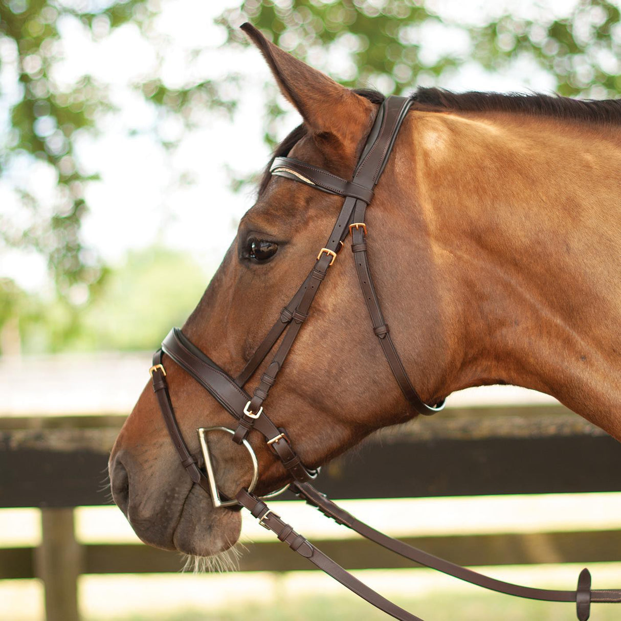Mondega Natasha Rose Gold Sparkle Bridle