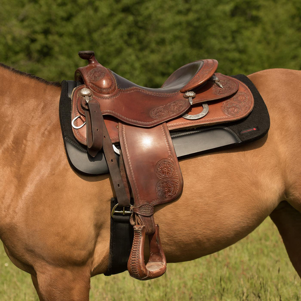 Thermal Therapy Western Felt Saddle Pad