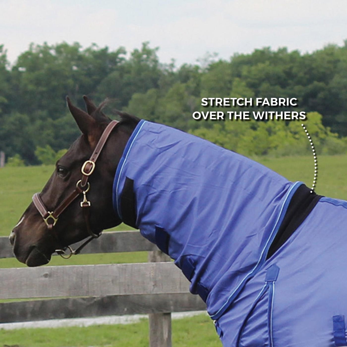 Shedrow Extend-A-Neck Fly Sheet