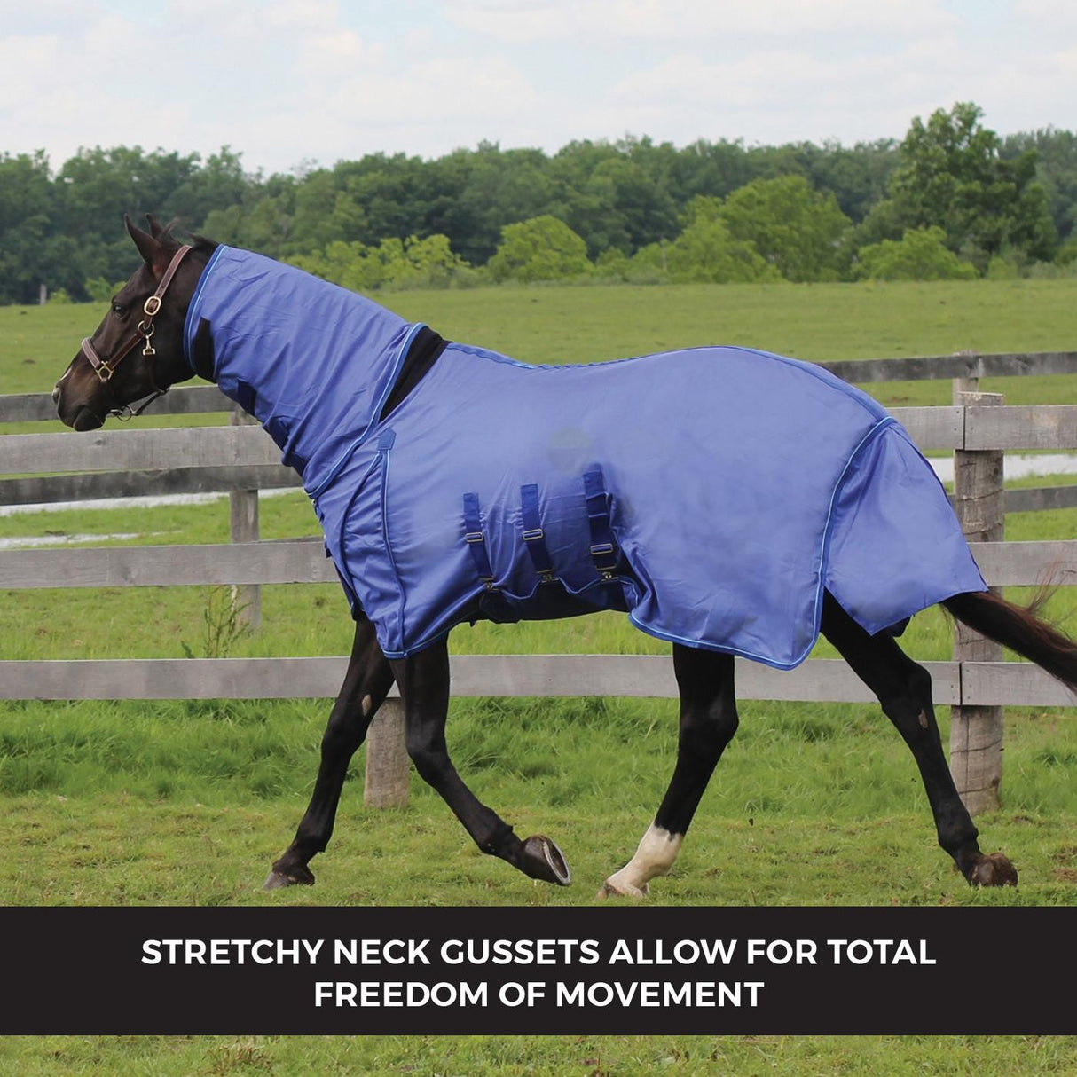 Shedrow Extend-A-Neck Fly Sheet