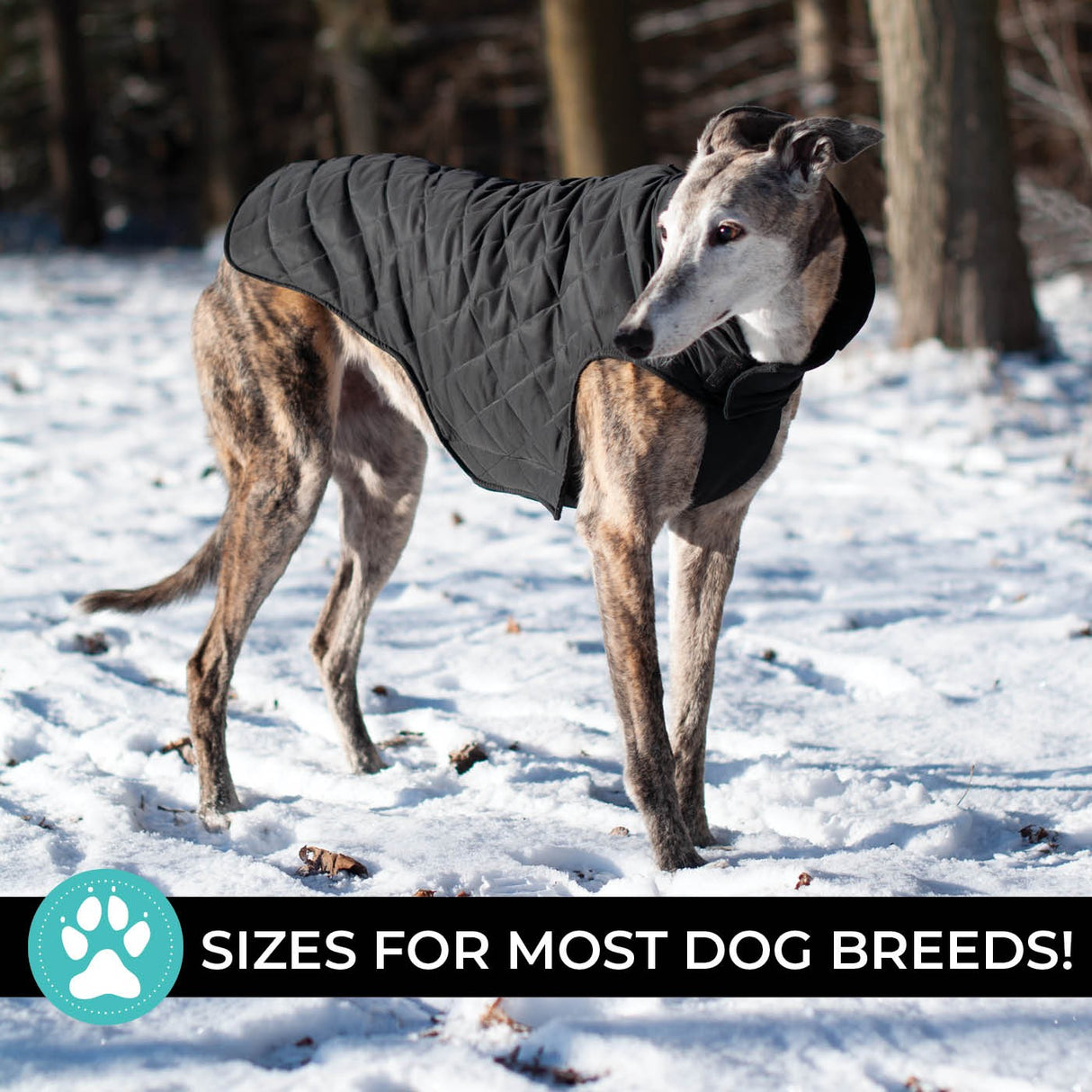 Shedrow K9 Brentwood Quilted Dog Coat