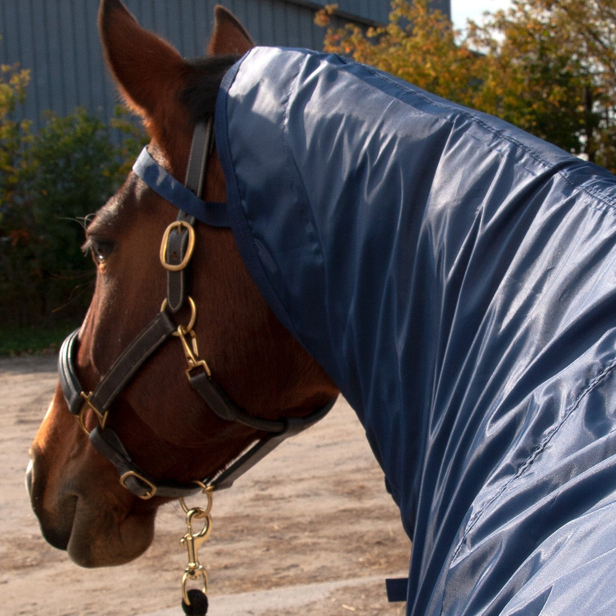 Shedrow Ringside Rainsheet 0 g