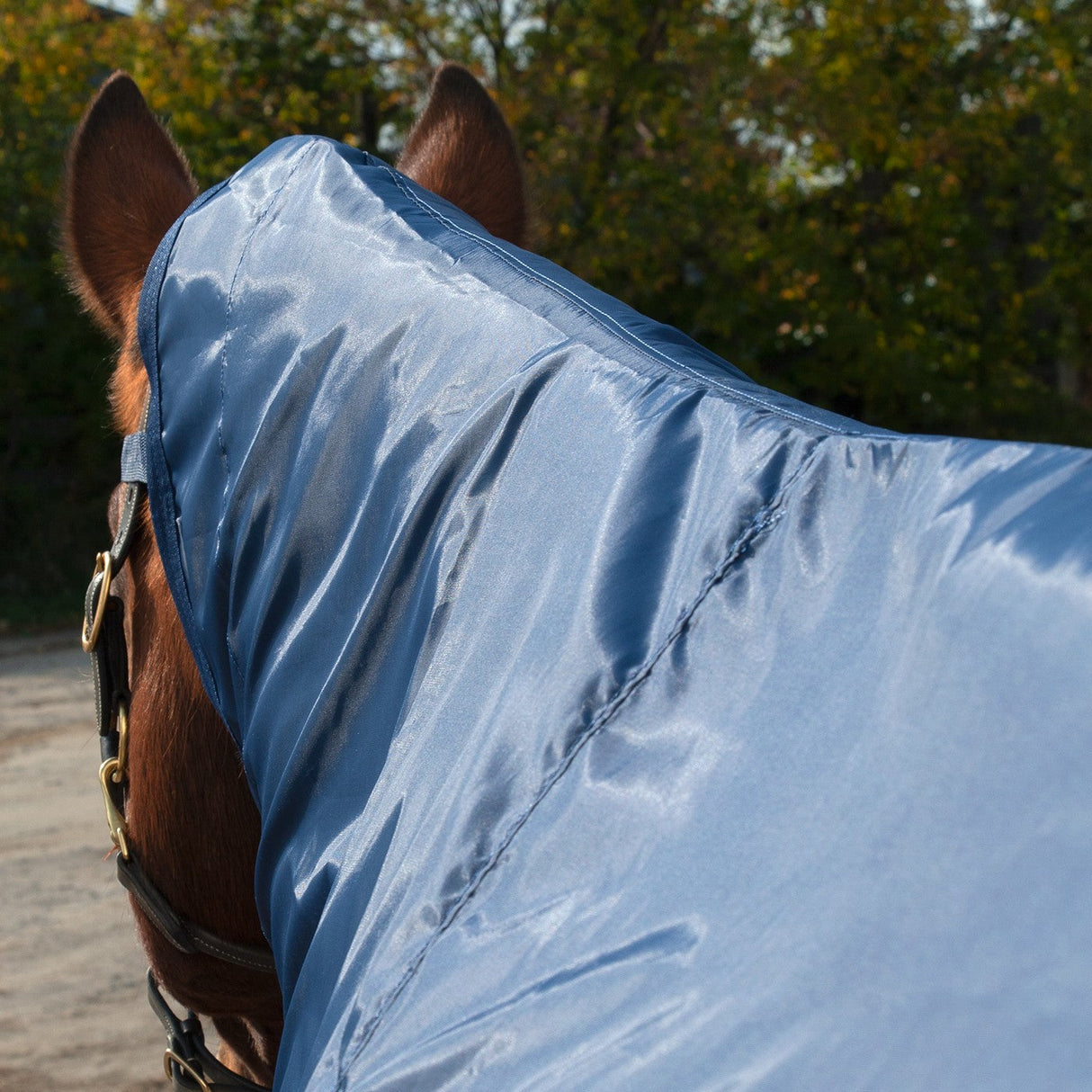 Shedrow Ringside Rainsheet 0 g