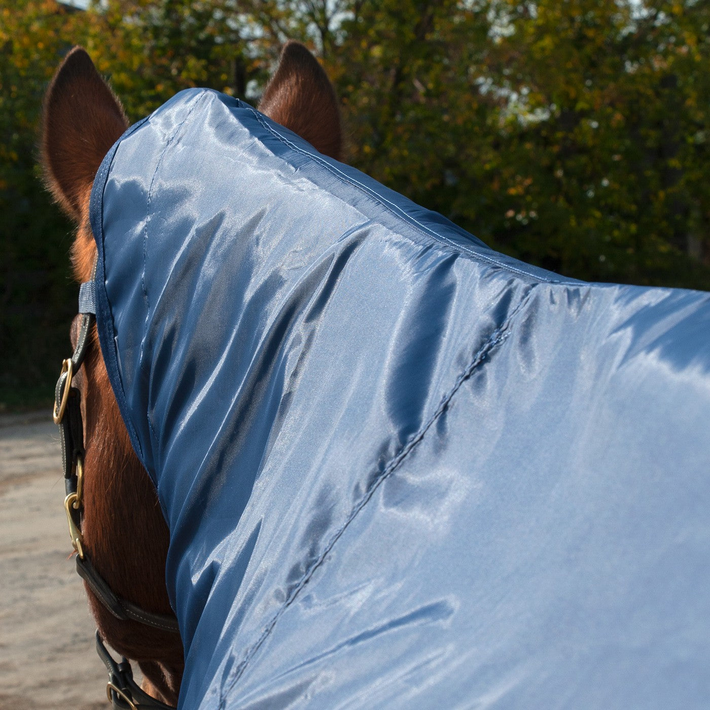 Shedrow Ringside Rainsheet 0 g