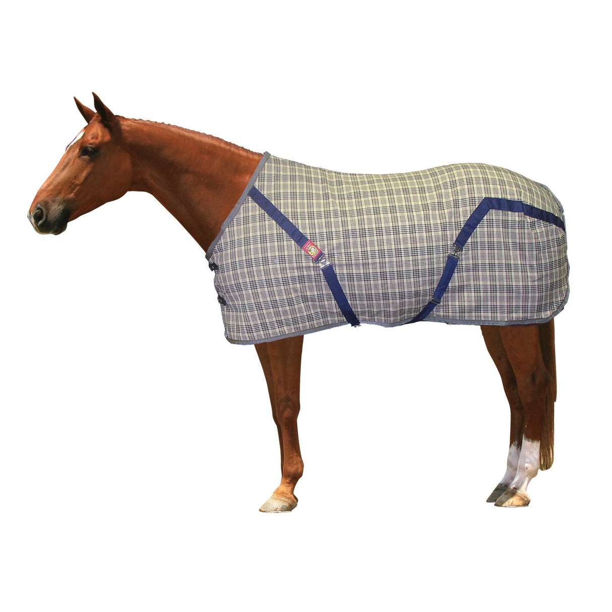 5A Baker Summer Sheet