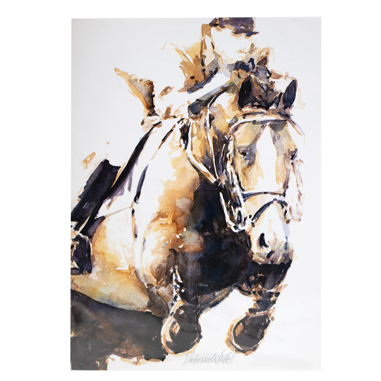 Focused Pair Blank Greeting Card