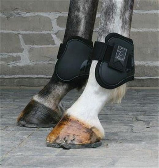Shedrow Pony Fetlock Boots