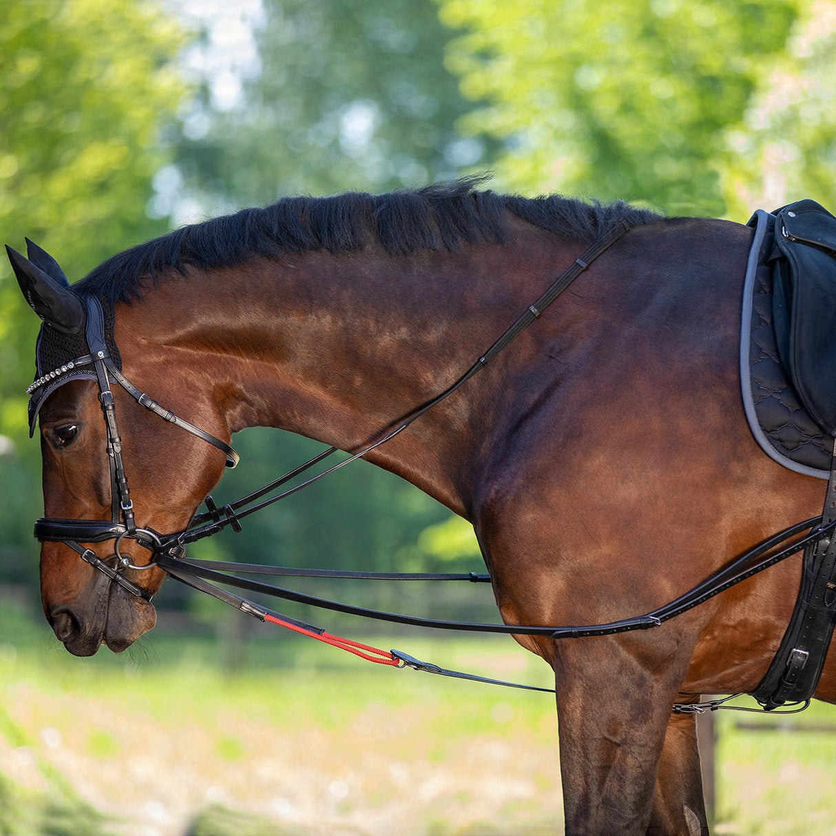 Waldhausen W-TrainRein Draw Reins