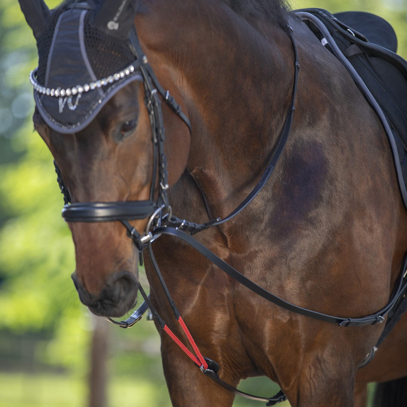 Waldhausen W-TrainRein Draw Reins