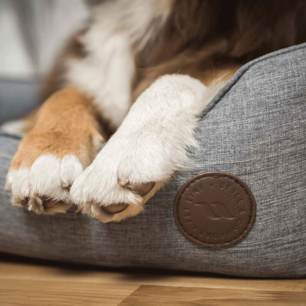 Back on Track Rocky Dog Bed