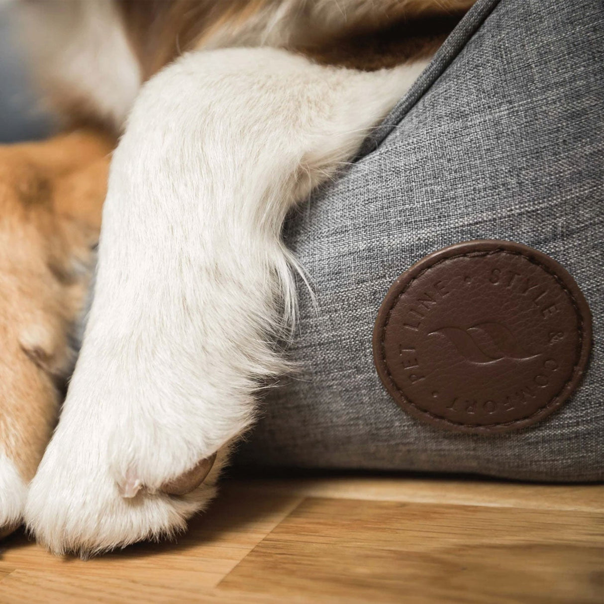 Back on Track Rocky Dog Bed