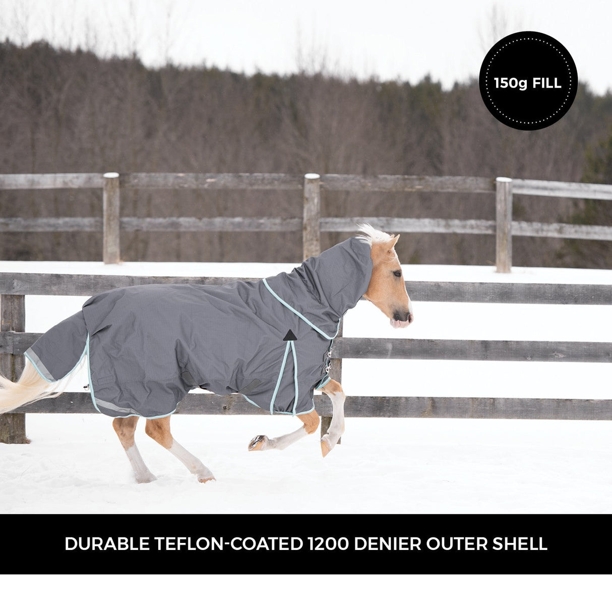 Swift Pony Turnout Blanket 150 g