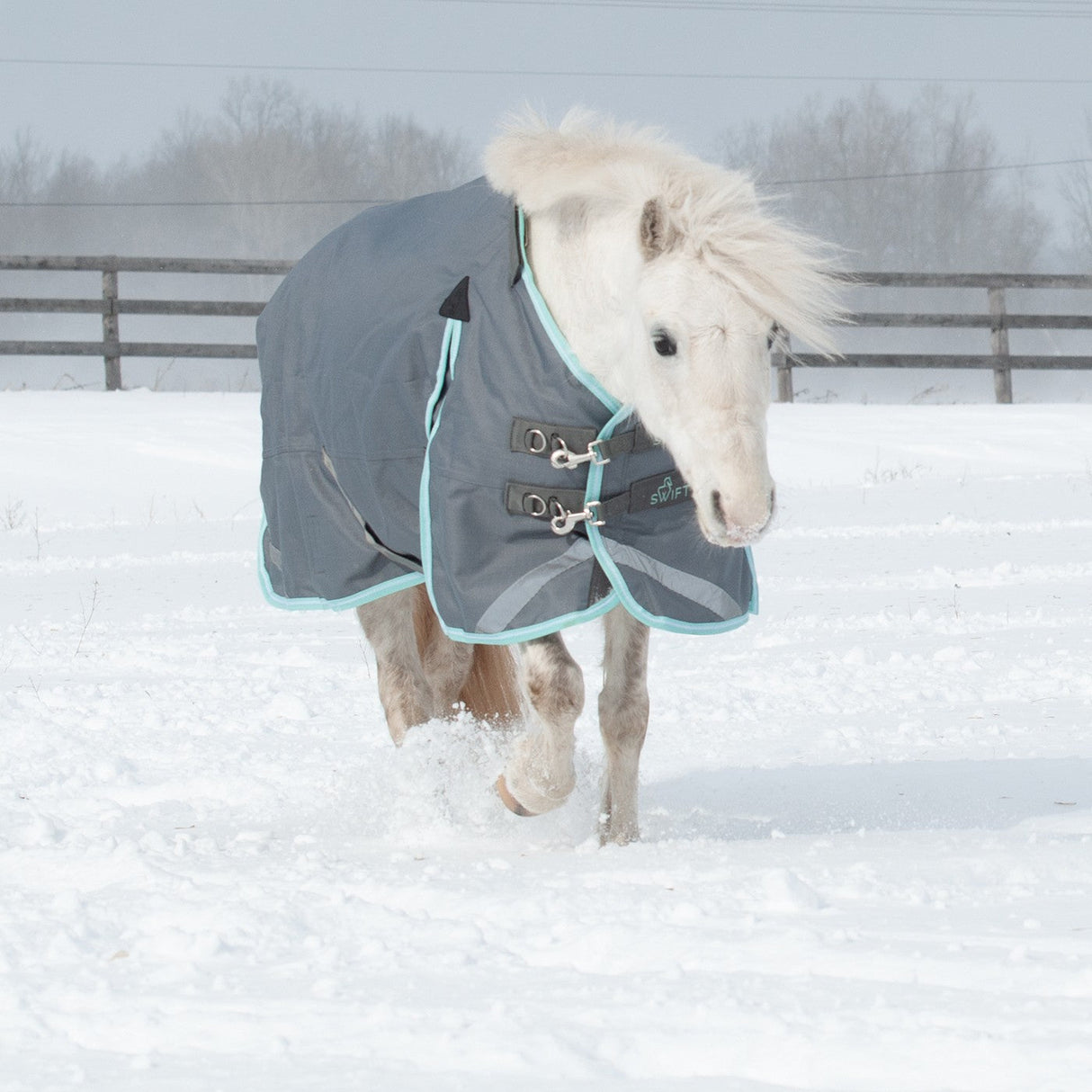 Swift Pony Turnout Blanket 300 g
