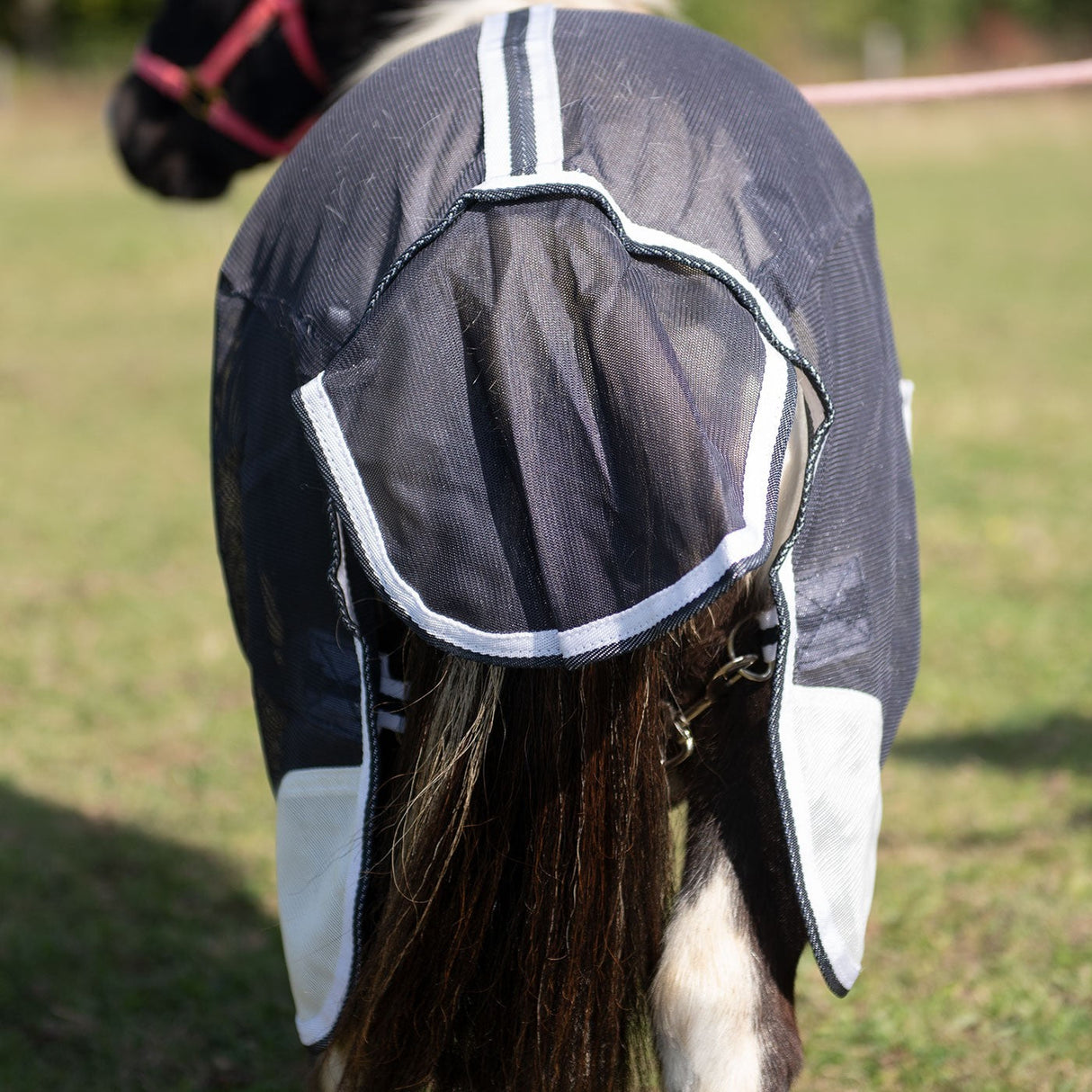 Supra Miniature Fly Sheet W/ Belly Band & Fly Mask