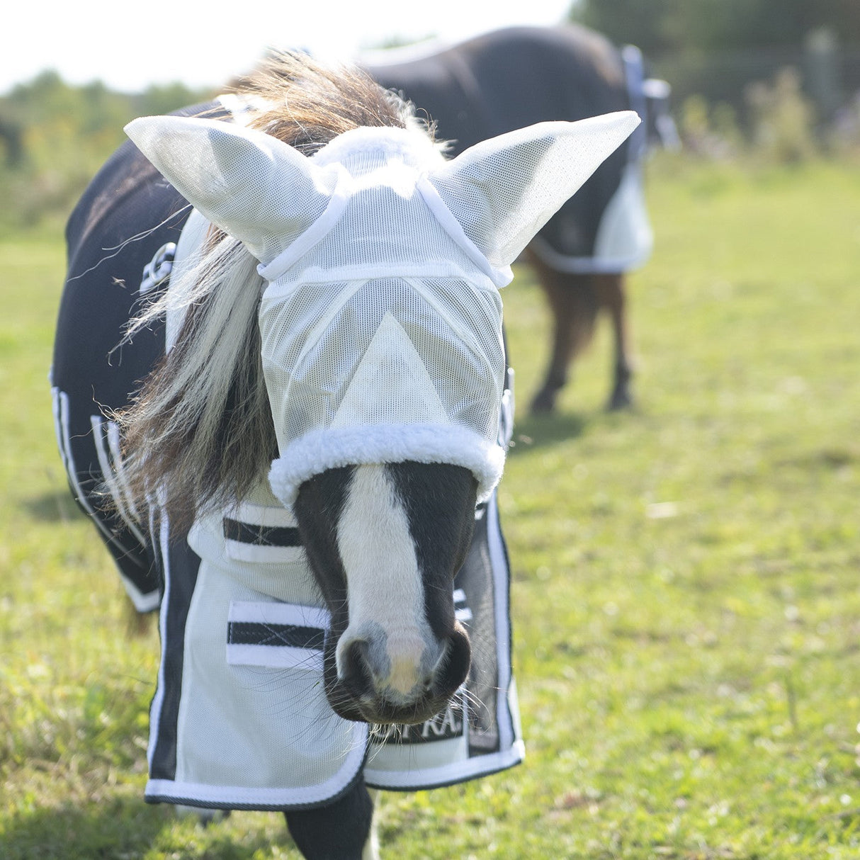 Supra Miniature Fly Sheet W/ Belly Band & Fly Mask