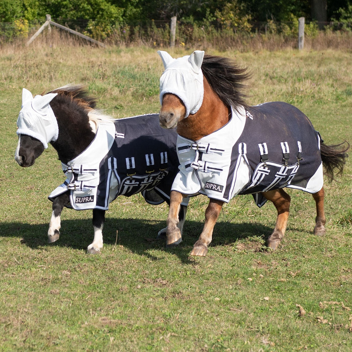 Supra Miniature Fly Sheet W/ Belly Band & Fly Mask