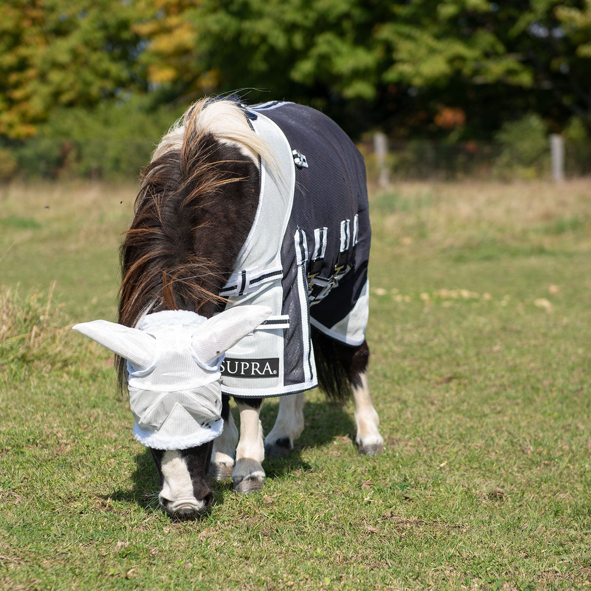 Supra Miniature Fly Sheet W/ Belly Band & Fly Mask