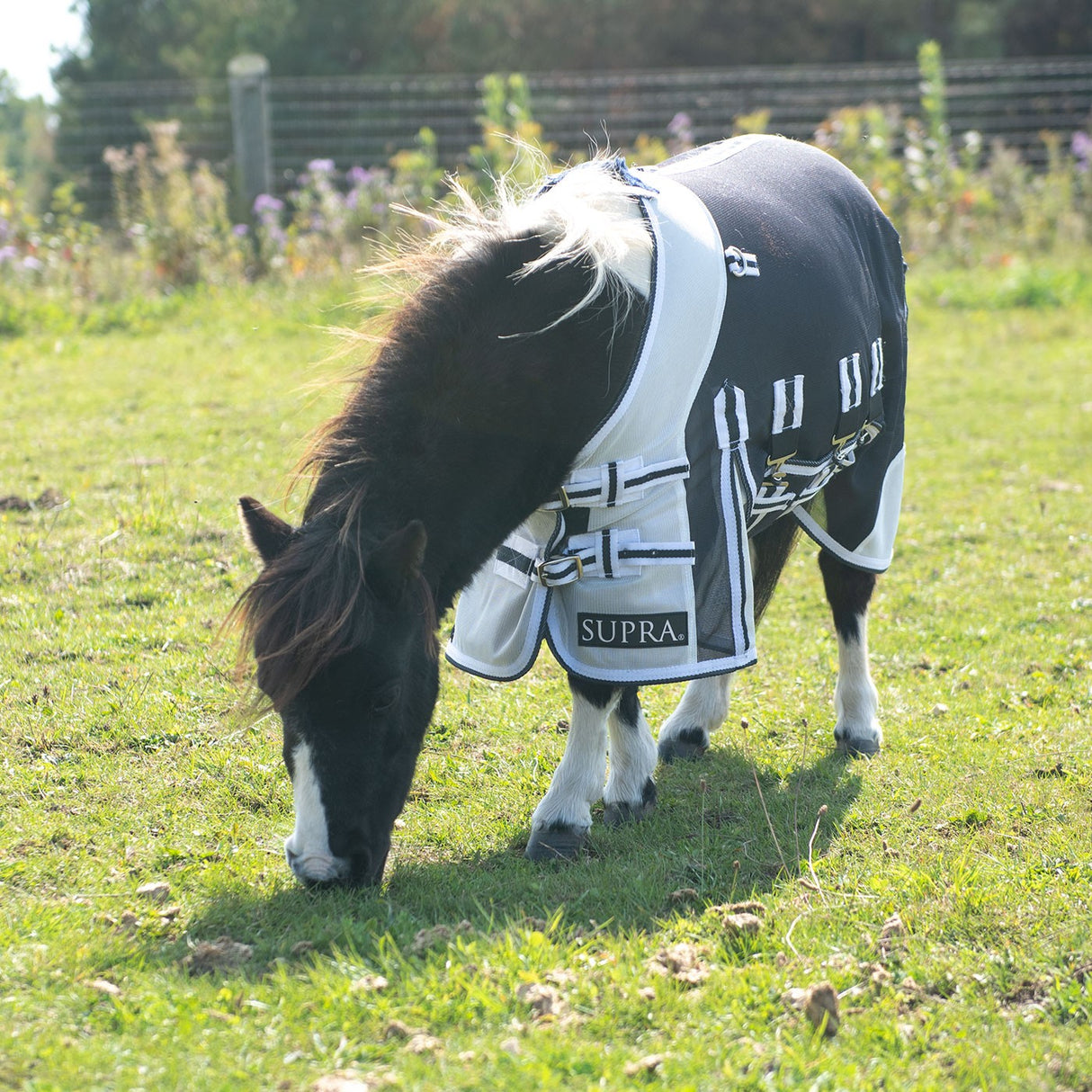 Supra Miniature Fly Sheet W/ Belly Band & Fly Mask